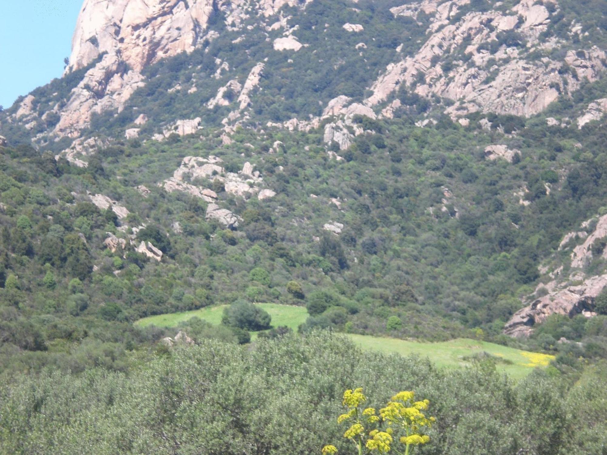 Hotel Turismo Rurale Montitundu Portisco Luaran gambar